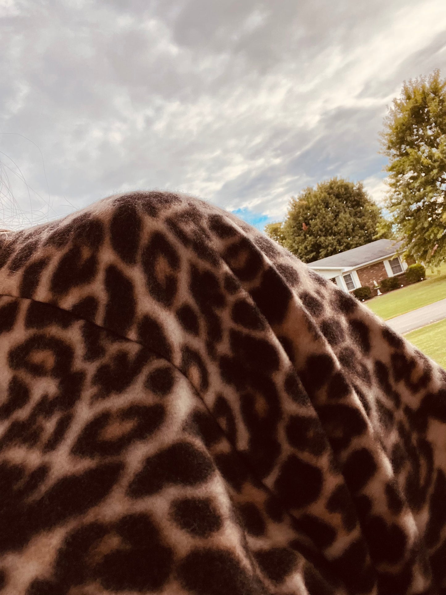 Leopard print brushed fabric top